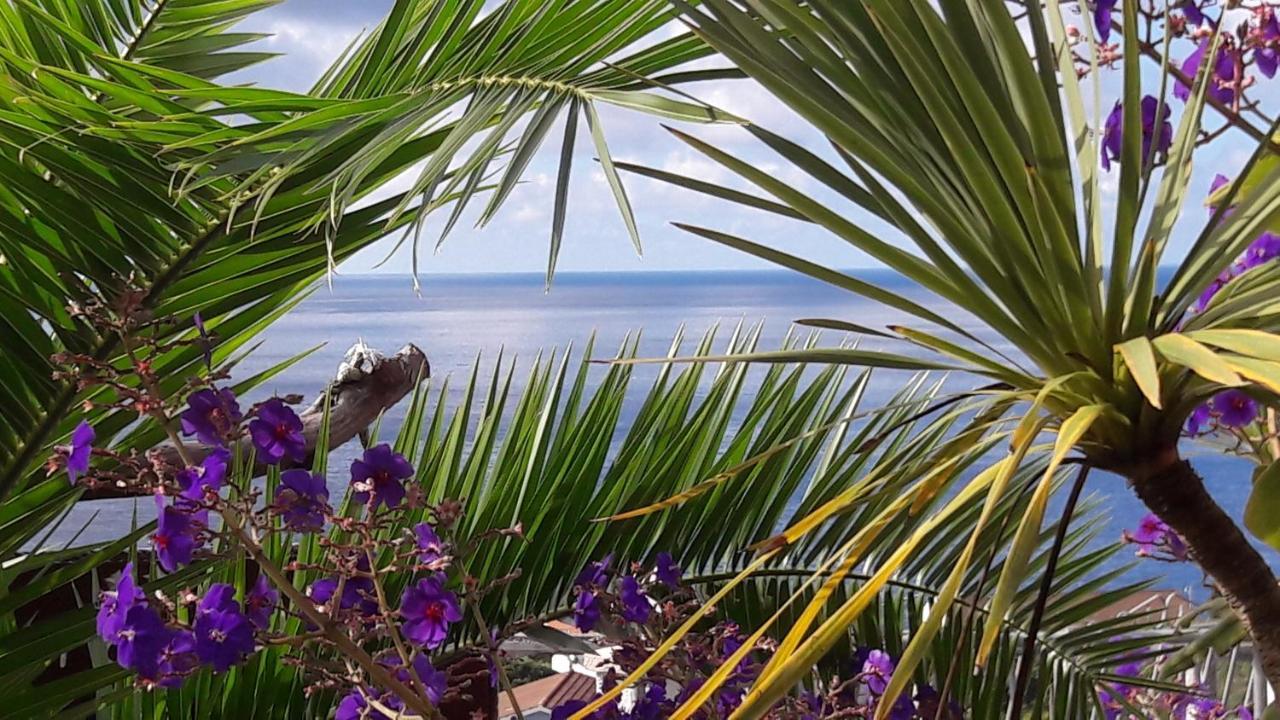 Miradouro Da Papalva Guest House - Pico - Azores Sao Joao  Exteriér fotografie