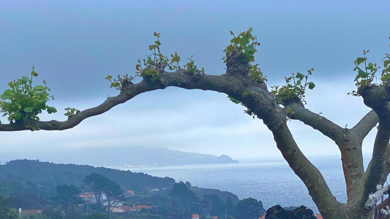 Miradouro Da Papalva Guest House - Pico - Azores Sao Joao  Exteriér fotografie