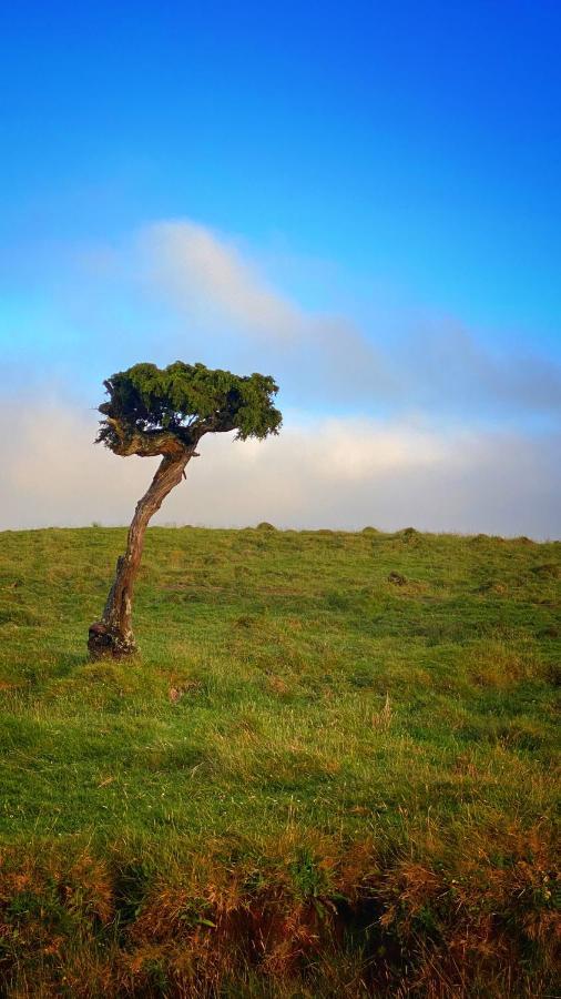 Miradouro Da Papalva Guest House - Pico - Azores Sao Joao  Exteriér fotografie